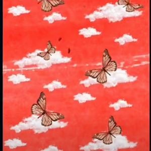 Meet your Posher, Mariah